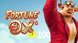 Premium Interface ok100